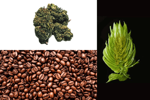 Quality Control for Coffee, Hops, and Cannabis